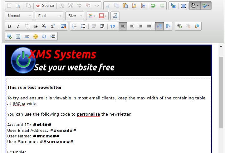 Basic XMS Systems newsletter template