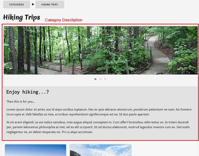 Tours category not using category Image