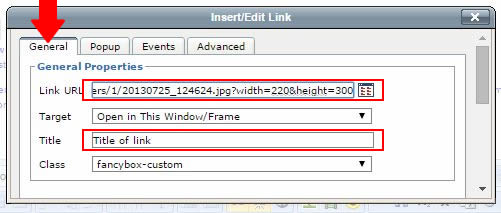 Enter the Link URL defining the width and height